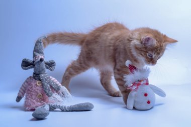 Kırmızı kedi ve oyuncak fare ve kardan adam