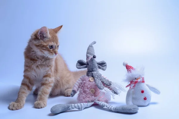 Gato Vermelho Rato Brinquedo Com Boneco Neve — Fotografia de Stock