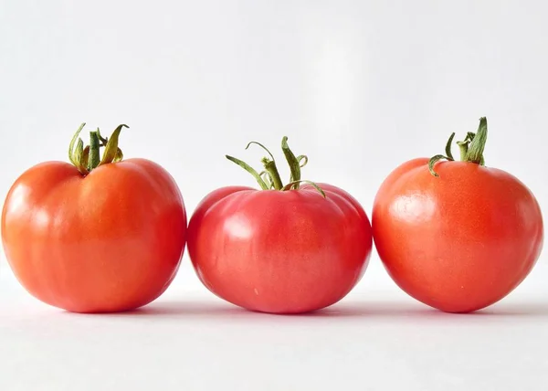 배경에 토마토가 줄지어 있습니다 토마토 주스를 야채와 — 스톡 사진