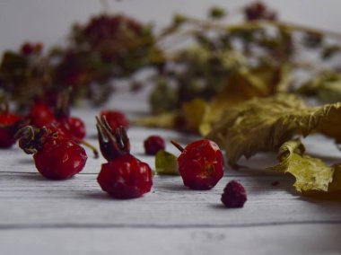 Doğal şifalı orman bitkileri ve yaban gülü. Yazı olmadan yakın plan. Seçici odak yazarının fikri