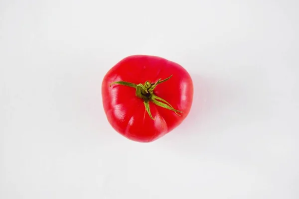 배경에 토마토 맛있는 토마토 파스타 요리를 클로즈업 — 스톡 사진