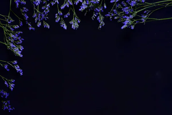 Siyah arka planda küçük mavi çiçekler ve yazıtlar için bir yer. Sevgililer Günü 'nü kutlamak. seçici odak