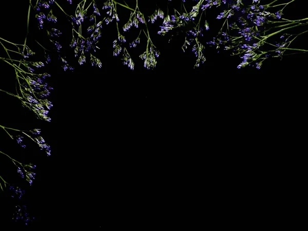 Siyah arka planda küçük mavi çiçekler ve yazıtlar için bir yer. Sevgililer Günü 'nü kutlamak. seçici odak