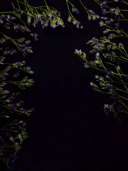 Siyah arka planda küçük mavi çiçekler ve yazıtlar için bir yer. Sevgililer Günü 'nü kutlamak. seçici odak