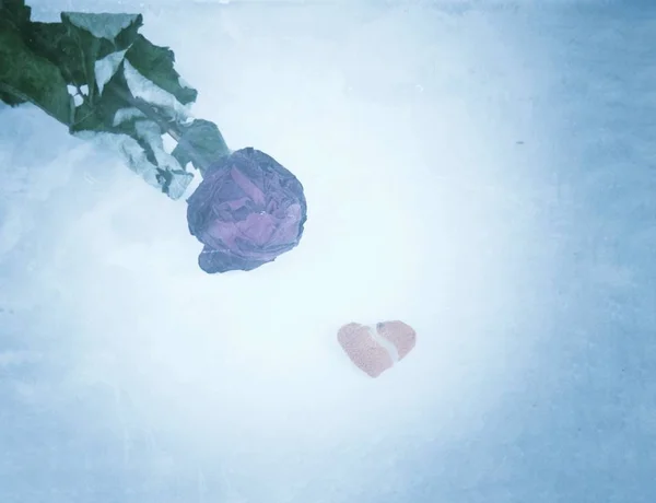 broken love, a red faded rose and a small broken heart on a cold blue background with a place for the inscription on the right. selective focus
