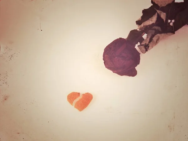 Σπασμένη Αγάπη Ένα Μαύρο Ξεθωριασμένο Τριαντάφυλλο Και Μια Μικρή Ραγισμένη — Φωτογραφία Αρχείου