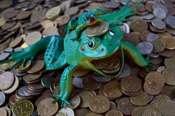 İş konsepti zaman parası, kurbağadan paraya biriken para, bozuk para koyan eli olan Rus paraları. yakın çekim ve yumuşak odak.