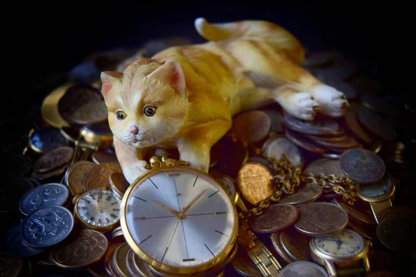 Business concept time is money, Russian coins and one toy cat that love money and dream. close-up and soft focus.