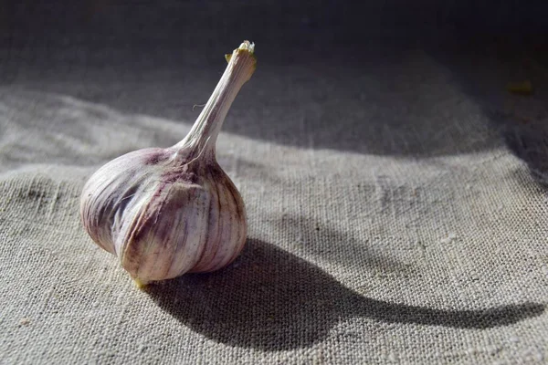 Knoblauch Mit Einem Harten Schatten Volksmedizin Auf Einem Grauen Sackartigen — Stockfoto