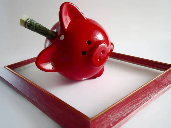 red piggy Bank with a dollar On a light background with a frame. Concept of financial investment and money saving.