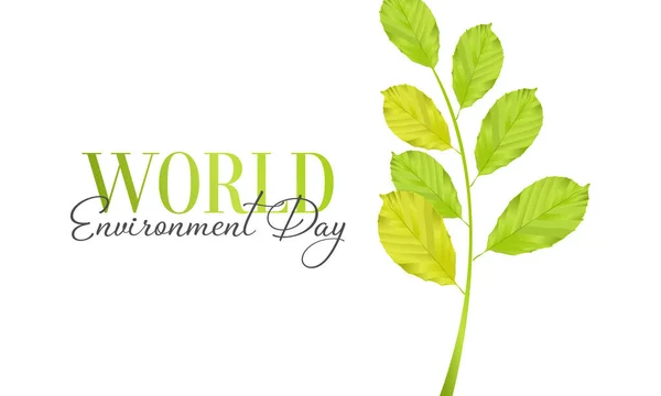 Vector Illustration Theme World Environment Day Observed Each Year June — Stock Vector
