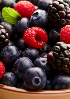 Kâsede taze meyve salatası ve biraz nane.