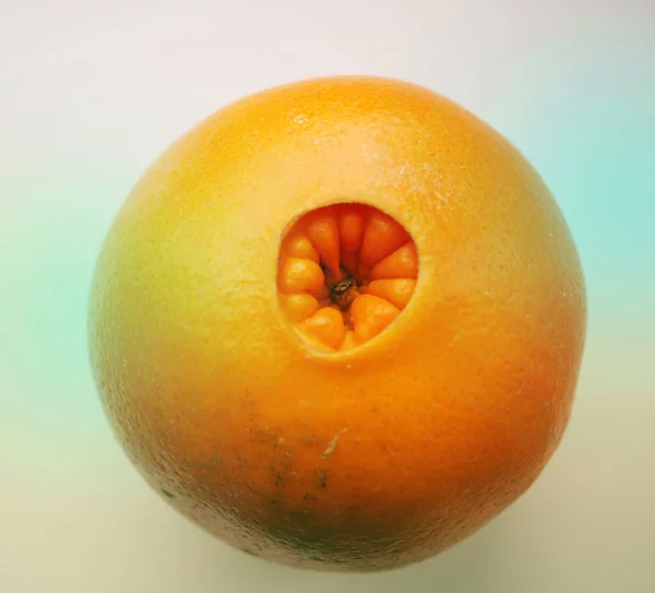 色のついた背景の奇妙なオレンジ Citrus Sinensis — ストック写真