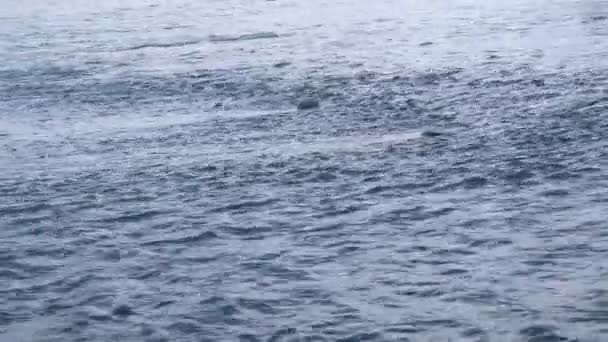 débit serein du sauveur de rivière 