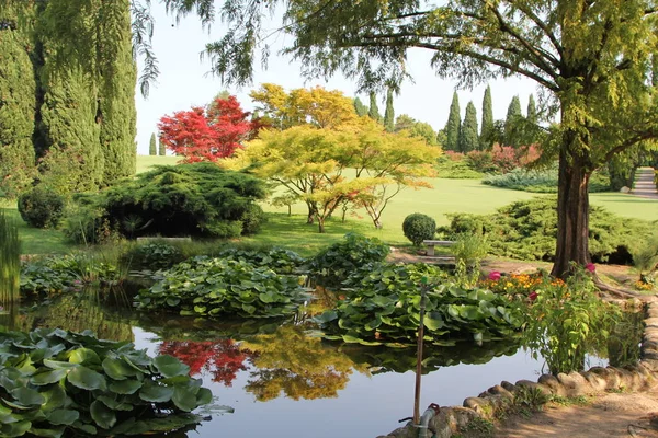 Summer horizontal landscape view in the park garden with beautiful japanese maples and cypresses and pond