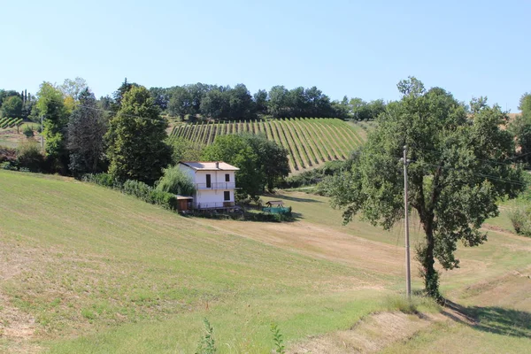 Paisaje Rural Con Campos Cielo Azul — Foto de Stock