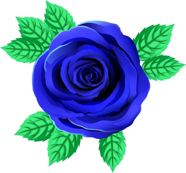 Vector Bright Blue Rose Flower. Rose Clipart With Petals And Leaf. — Stock Vector