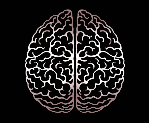 Vektor skissera illustration av mänsklig hjärna på svart bakgrund.Cerebral hemisfärer, volutioner av hjärnan, hjärnans böjer. Utsikt ovanifrån, Front View, Realistisk vetenskap Anatomi. — Stock vektor