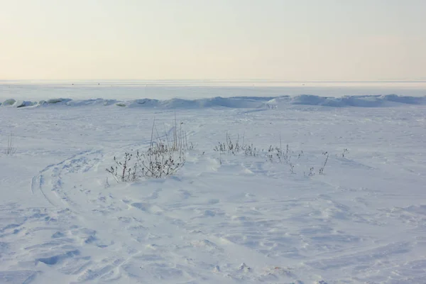 Zimowy śnieżny krajobraz z równiną i niebem — Zdjęcie stockowe