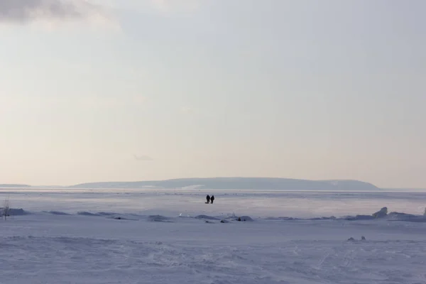 Zimowy śnieżny krajobraz z równiną i niebem — Zdjęcie stockowe