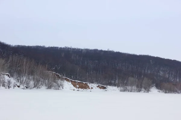 Winterliche Schneelandschaft mit Hügeln und Bäumen — Stockfoto