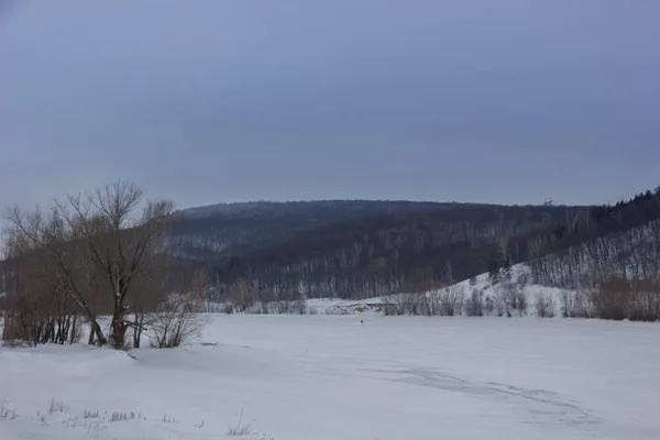 Winterliche Schneelandschaft mit Hügeln und Bäumen — Stockfoto