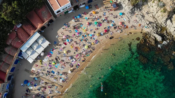 Calella Palafrugell Sahili Hava Manzaralı Spanya — Ücretsiz Stok Fotoğraf