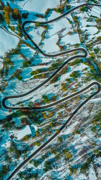 西班牙加泰罗尼亚 公路和雪树鸟瞰 — 免费的图库照片