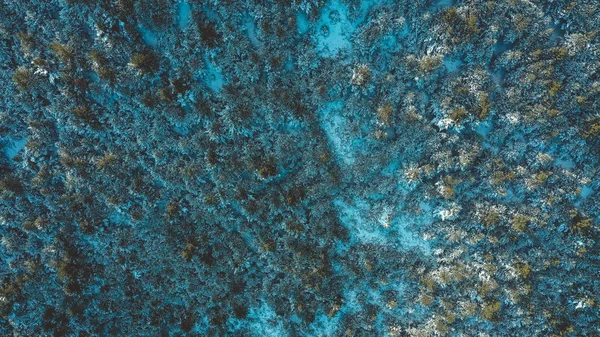 西班牙加泰罗尼亚雪树鸟瞰 — 免费的图库照片