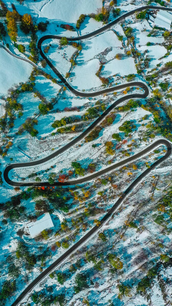 Road and snowy trees aerial view, Catalonia, Spain — Stock Image Road Snowy Trees Aerial View Catalonia Spain — Stock Photo, Image