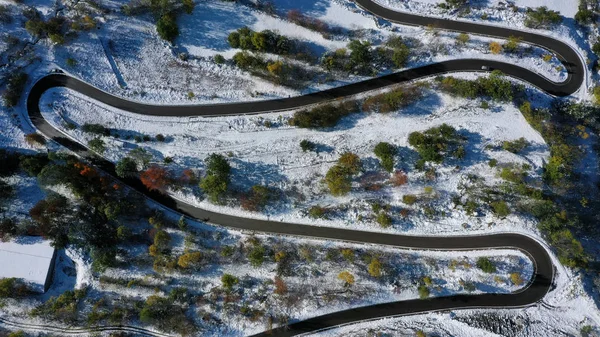 西班牙加泰罗尼亚 公路和雪树鸟瞰 — 免费的图库照片