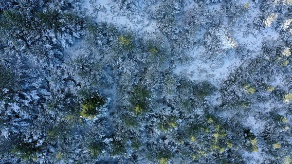 西班牙加泰罗尼亚雪树鸟瞰 — 免费的图库照片