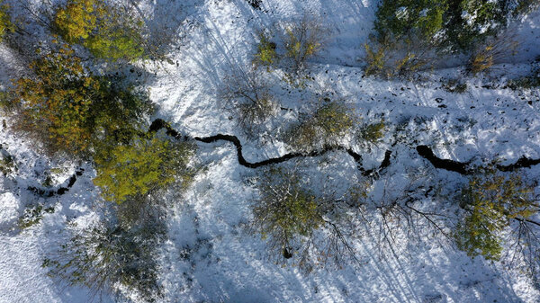 Road and snowy trees aerial view, Catalonia, Spain — Stock Image Road Snowy Trees Aerial View Catalonia Spain — Stock Photo, Image