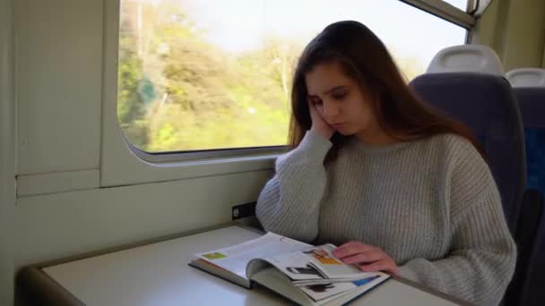 Красивая Молодая Леди Едет Поездом Читает Книгу Молодая Леди Окна — стоковое видео