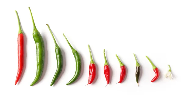 Various chili peppers on white background — Stock Photo, Image