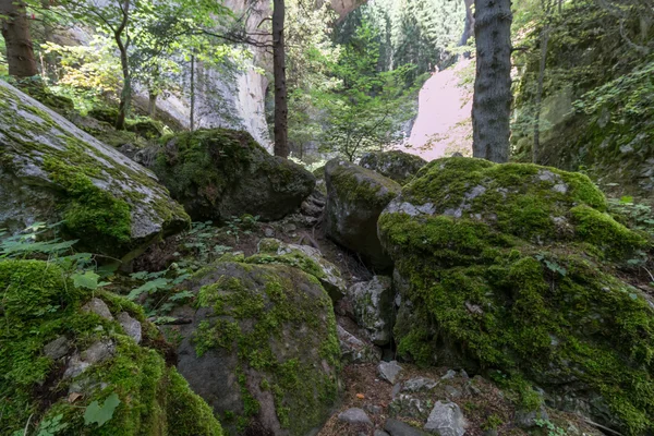 As Maravilhosas Pontes - fenômeno da rocha natural no Rhodope M — Fotografia de Stock