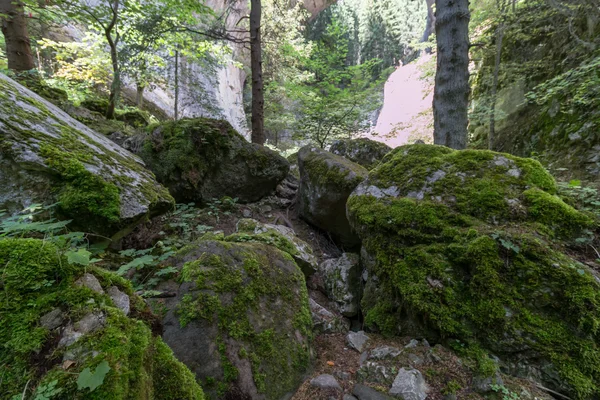 Los maravillosos puentes - fenómeno de la roca natural en el Rhodope M —  Fotos de Stock