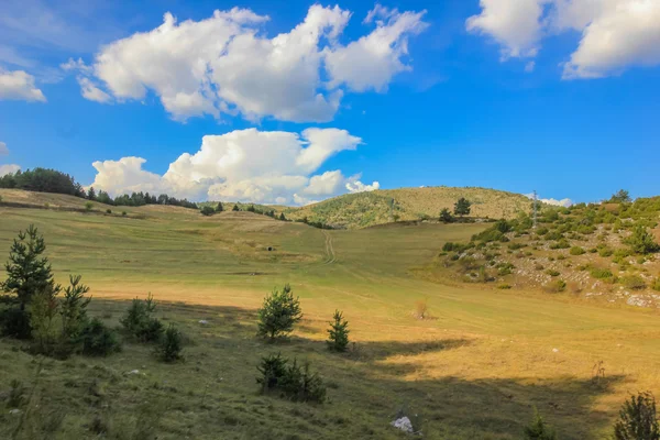 미스 티 Rhodope 산, 불가리아 — 스톡 사진