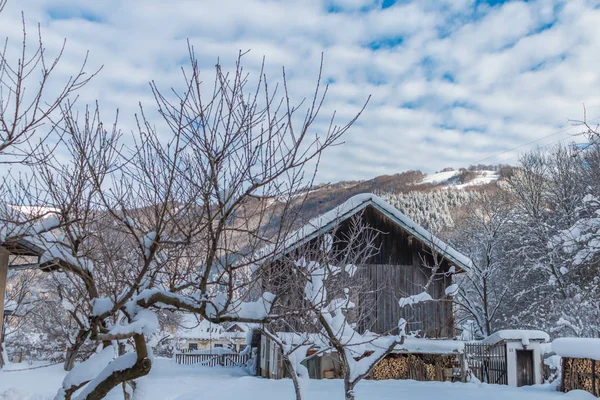 Ribaritsa, winterlandschap, Bulgarije — Stockfoto