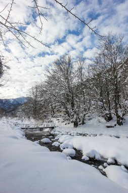 Ribaritsa Köyü ve Beli Vit nehir, kış manzara, Bulgaristan