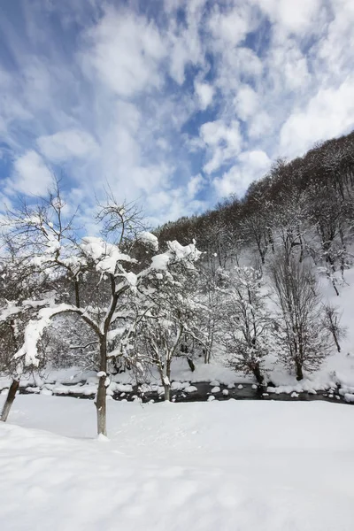 Ribaritsa, 불가리아의 아름 다운 겨울 풍경 — 스톡 사진