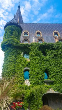 Rüzgar, Castle Ravadinovo - Bulgaristan aşığı