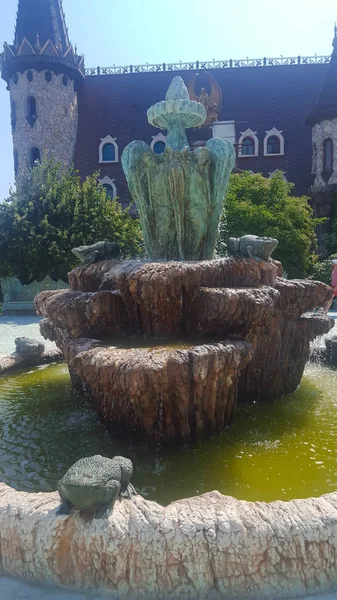 Apaixonado pelo vento, O Castelo de Ravadinovo - Bulgária — Fotografia de Stock