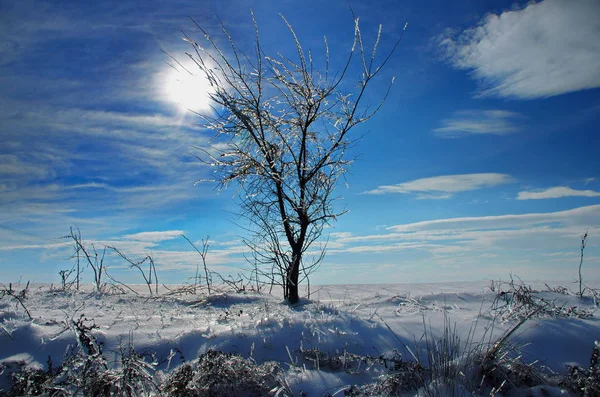 Soleil froid sur les terrains gelés — Photo