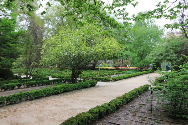 Jardim botânico em Madrid, Real Jardin Botanico. Espanha — Fotografia de Stock