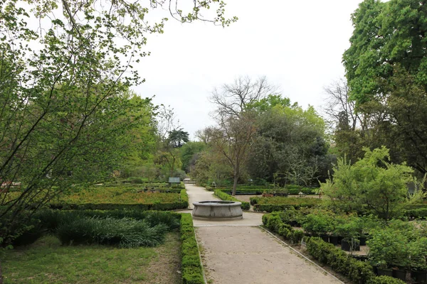 Ботанічний сад в Мадриді, реальні Jardin озер Лаго. Іспанія — стокове фото