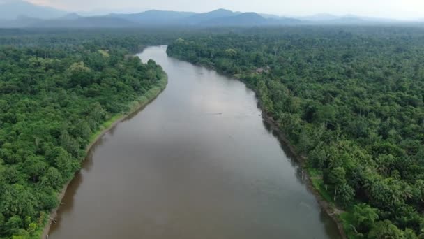 Karawari River Papua New Guinea — Stock Video