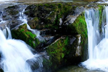 Pireneler dağında şelale                               