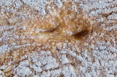 Ekmek makrosu İspanya Katalonya