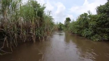 Karawari Nehri 'nde Papua Yeni Gine' de yol alıyoruz.